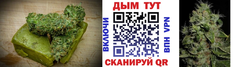 Canna-Cookies конопля  omg ссылка  Апрелевка  хочу  