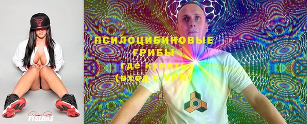 прущий лед Алексеевка