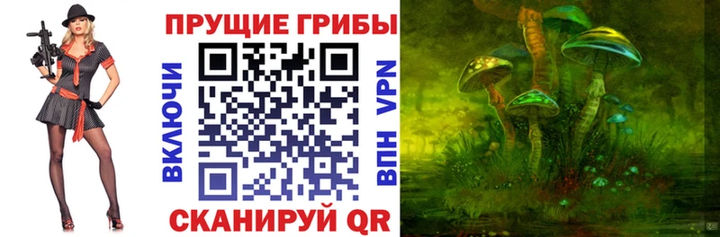 Псилоцибиновые грибы Magic Shrooms  наркошоп  Апрелевка 